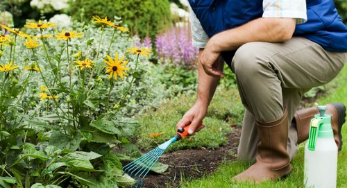 Gardener team starting work in a Penge garden
