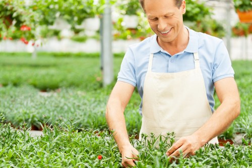 Stunning seasonal garden maintenance in Penge