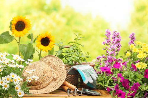 Professional lawn care services being performed in Penge